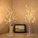 2-Pack 2FT Lighted Birch Tree with Timer for Christmas Decorations Indoor, Artificial Birch Tree with 48 LED Warm White Lights, Fairy Light Tabletop Centerpiece Tree for Christmas Winter Deocrations
