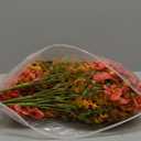 HyeFlora Artificial Fall Flowers Faux Mums for Outdoor Indoor Garden Home Decoration, Faux Flower Daisy with Eucalyptus Leaves Fake Mums Plants Greenery Boxwood Porch Patio, 12 Bundles