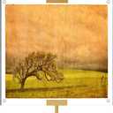 RattanView Gold Adjustable Metal Easel Stand with Acrylic Floating Photo Frame 16.5" Tabletop Metal Standing Easel Display Stand for Display Picture, Frame, Photos, Art, Poster, Signs