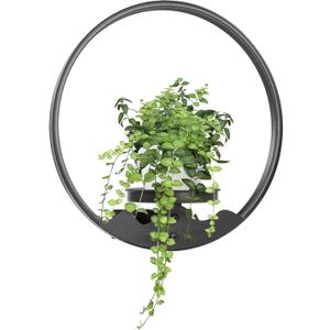 Round Picture Frame Wall Plant Holder Black Wall Hanging Planters Metal Window Plants Shelf Plant for Indoor Outdoor Garden Rockery Decoration