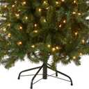 National Tree Company 5 ft Pre-Lit North Valley Spruce Artificial Christmas Tree, 300 Warm White LED Lights, 488 Tips, Includes Stand, Green