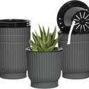 T4U 4 Inch Plant Pots Self Watering, 6 Pack African Violet Pots, Small Plant Pots for Plants, Small Indoor Plant Pot, Self Watering Planter for African Violet, Succulents (6 Pack 4" Pots, Gray)