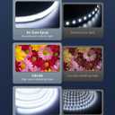 ALITOVE 32.8ft COB Led Strip Light White 6500K Super Bright 24V LED Rope Lights with Remote Dimmable 3200LEDs CRI90+ Uniform Glow LED Tape Light for Mirror Under Cabinet Living Room Study Wardrobe