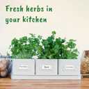 volila Herb Planter Indoor - Set of 3 Warmstone Indoor Herb Garden Pots for Plants with Leather Handled Tray - Window Sill Plant Shelf - Herb Pots with Drainage Holes and Labels