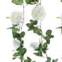 Felice Arts 1 Pack Cream Artificial Rose Vine Each 6FT Fake Rose Garland Hanging Flower Garland for Wedding Arch Table Arrangement Garden Swing Teepee Decor