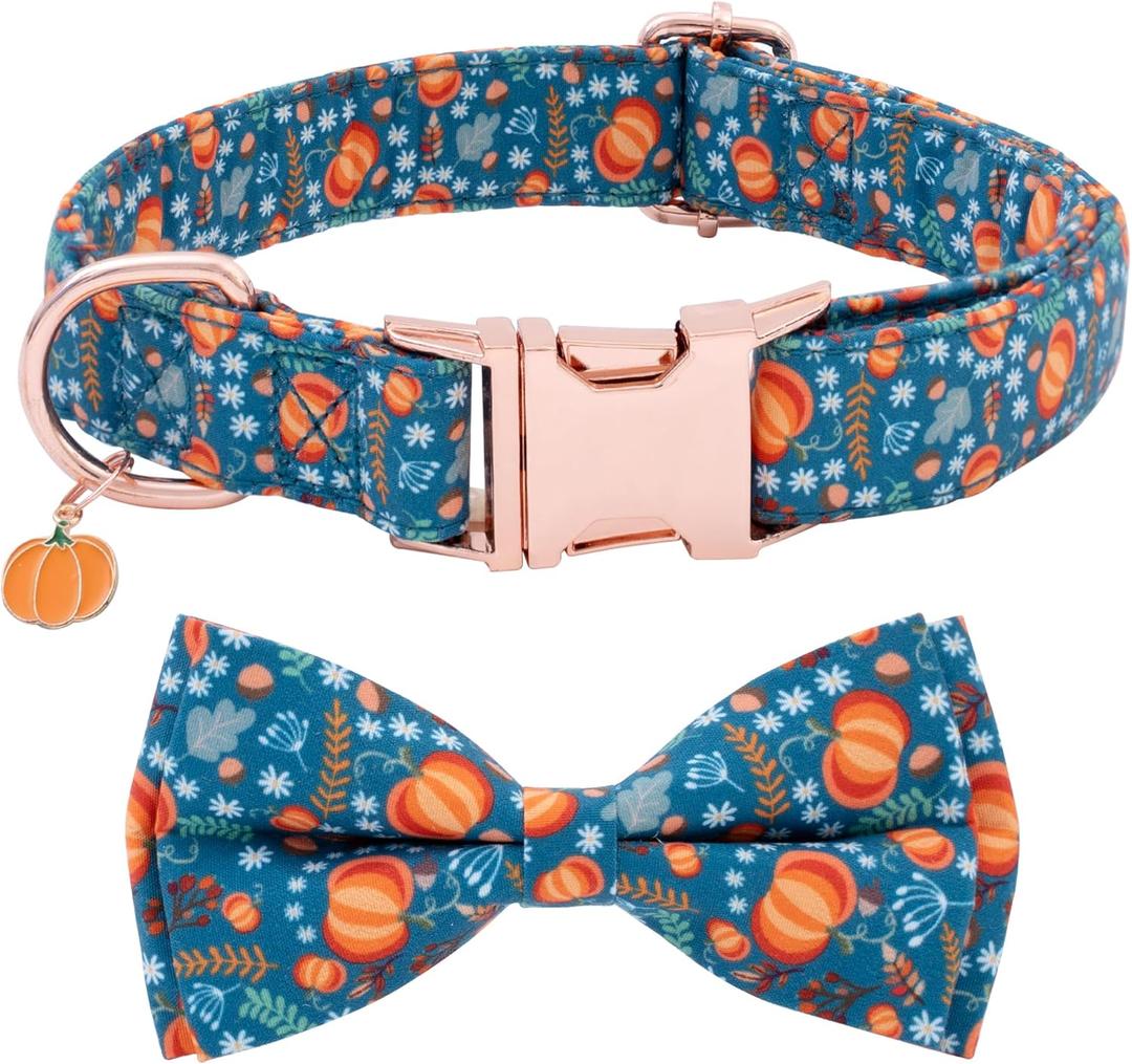 Faygarsle Bow Tie Dog Collar Halloween Fall for Small Medium Large Dogs Fashionable Cute Collars for Male Female Dogs Orange Cotton Collar with Metal Buckle Pumpkin Chestnuts Pattern M