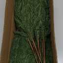 16 PCS 18 Inches Artificial Christmas Norfolk Pine Branch, Natural Touch Norfolk Faux Greenery Pine Stems, Fake Norfolk Picks Christmas Decoratoins for Vase DIY Garland Wreath Xmas Indoor Home Decor