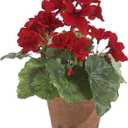 9 Inch High Red Geranium - Artificial Flowers with Leaves Bound with Moss