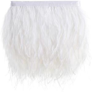 Natural Ostrich Feather Fringe Trim - Feathers Sewing Crafts Decor for Dress Costume 4-6 inches 2 Yards Erikord(White)