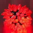 C9 Led Christmas Lights Outdoor Christmas Decorations Comm Grade 50 Led 33ft Christmas Tree Lights Set for Indoor Outdoor Wedding, Holiday, Party, Home Christmas Decorations(Red)