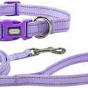 Olahibi Dog Collar Leash Set, Durable Polyester with Reflective Strips, 5ft Matching Leash, Adjustable 4 Sizes for Small Medium Large Dogs.(XS, Purple)