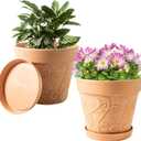 Melphoe Plant Pots Indoor with Drainage & Saucer, 2Pack 10 inch Flower Pots Outdoor Planters for Indoor Plants Garden Home Decor Cactus Succulent, Rigid Plastic (Imitation-Terracotta) Vine-Embossed