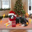 Pet Heating Pad for Cats and Small Dogs  Heated Cat Bed with 4-Level Timer & 6-Level Temperature, Waterproof Indoor Warming Mat with Chew-Resistant Cord & Soft Washable Cover, 16"x28" (Gray)