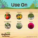 Bonide Captain Jack's Rose Rx 4-in-1 Insect & Disease Control, 16 oz Concentrate Neem Oil for Organic Gardening