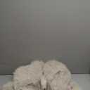 Womens Cropped Fluffy Faux Fur Coat Open Front Long Sleeve Furry Jacket with Pockets (Medium, Apricot)