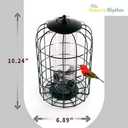Nature's Rhythm Outdoor Hanging Bird Feeder Cage PC Tube Squirrel Proof Wild Bird Feeder with Large Metal Seed Guard Deterrent (PC Tube Bird Feeder)