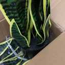 2 Set Large Fake Snake Plant 25 Inch Sansevieria Plant Artificial Snake Plants in Pots with Woven Basket Faux Mother In Law Tongue Plant - 17 Leaves Fake Laurentii for Indoor Outdoor Home Office Decor