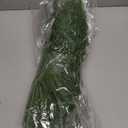 Christmas Norfolk Pine Branches - Set of 6 Artificial 18-Inch DIY Crafts for Xmas Indoor and Outdoor Home Decor