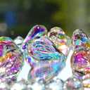 HDCRYSTALGIFTS 12pcs Suncatcher Crystal 50mm AB Loquat Shape Chandelier Parts Drops Prisms Hanging Crystal Sun Catchers,Colorful Glass Ornaments for Christmas Tree