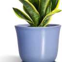 Ceramic Pots for Plants - 8 Inch Planter for Indoor Outdoor, Round Flower Pot with Drainage Hole and Saucer, Modern Planter, Home Garden Apartment Decor, Gifts for Plant Lovers, Purple-Blue