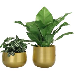 Vixdonos Gold Metal Flower Pots Brass-Toned Garden Planters, 7.1/6.3 Inch Indoor Round Succulent Containers, Pack 2 Cactus Plant Pots with Drainage Hole