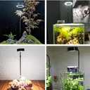 LED Aquarium Light 360 Degree Full Spectrum LED Light with Bamboo Board 10W Nano Fish Tank Light USB Powered Flat Nano Aquarium Light Bett a Fish Tank Light for Plant Growth