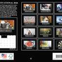 3 x Demotivational Calendar 2026 Monthly Wall Demotivator 12 Month | American Made In The USA