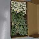 Daisies Flowers Artificial,Persian Leaf,Wild Flower Bouquet,20pcs,Tansy Greenery,Realistic, Silk Flowers for Home Decor Indoor, Wedding Bouquets(White)