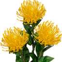 Hollyone 3Pcs Yellow Artificial Flowers Mums Spider Mum Flower 28.3'' Long Stem Fake Chrysanthemum Flowers Leucospermum Cordifolium Arrangement Faux Pincushion Flowers Bouquet for Office Home Decor