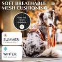 Freudentier No Pull Dog Harness with Handle, Front & Back Clips, Reflective, M