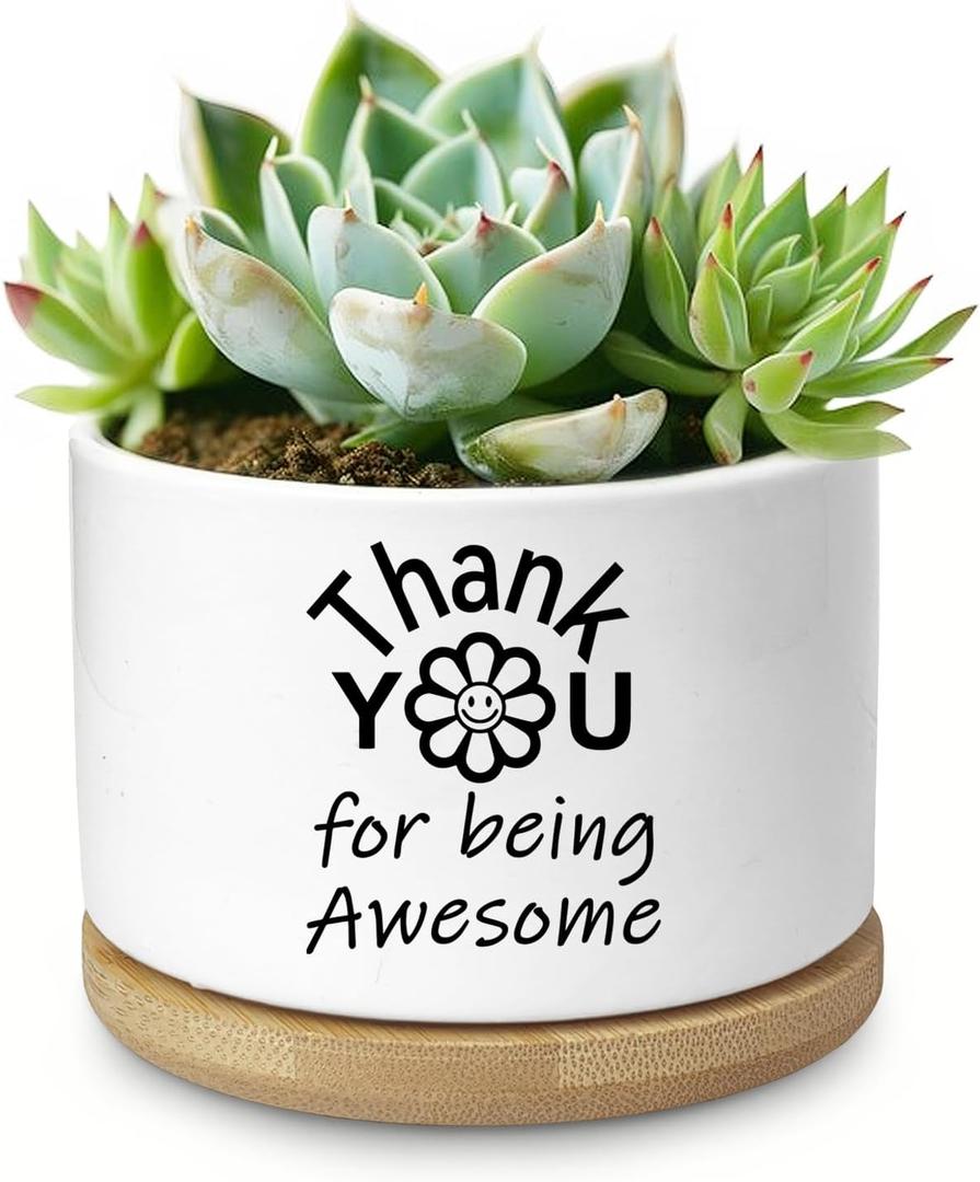 Thank You Gifts for Women, Succulent Planter, Flower Cactus Plant Pot, Employee Appreciation Gifts for Coworkers Nurse Friends Women, Thank You for Being Awesome (No Plants)
