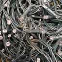 JMEXSUSS 500 LED Green Christmas Lights, 8 Modes Green String Lights Outdoor Plug in, 173ft St Patrick's Day Light for Party Xmas Tree St Patrick's Day Decorations