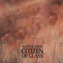 Citizen Of Glass