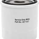 6671057 Engine Oil Filter Compatible with Bobcat Excavator 319 320 321 322 323 324 325 Loader 453 463 E14 E16 MT50 MT52 MT55 MT85 418 J37-1007