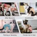 Langsprit Reusable Cat Diapers for Female Male Cats,Washable Cat Kitten Incontinence Diapers for Male Cats Spraying,Pet Kitty Diapers for Medium Size