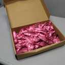 25 Pack Volunteer Lanyard with PVC Plastic Card Pass Volunteer Identification ID Badges Bulk Breakaway Lanyard for Activity, Fundraising, Church, School, Events(Pink)