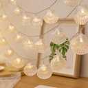Natural Beach Shell String Light - 19.69 ft, 40 Warm White LEDs, Weatherproof, Battery/USB Powered, Ocean Theme for Holiday Party, Wedding, Garden Decoration