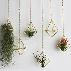Air Plants Live Holders 6 Pcs Glod Diamond Hanging Planter Small Air Plant Holders Unique with Chains Air Ferns Tillandsia Display for Indoor (B-6pcs-gold)