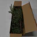 Lighted Artificial Pine Branches for Vases, 28" Christmas Cypress Sprigs with 60 LED Lights, Battery Operated or USB Plug in, Indoor/Outdoor Holiday Decorations (2PCS)