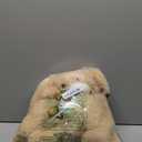 Teddy Bears Bulk 5 Packs 13.5 Inches Small Stuffed Bears Pack for Christmas Valentines Baby Shower Party Decorations Centerpieces Favors Light Brown