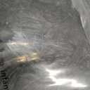 GarveeHome Small Black Entryway Rug, 2x3 Washable Front Door Rug Indoor Entrance Floral Peacock Carpet Non-Slip Low Pile Throw Rugs for Kitchen Floor, Powder Room, Entry, Bathroom, Kids Room