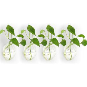 NUPTIO Hanging Planter Wall Terrarium: Glass Plant Holder 4 PCS Water Planting Vases Succulents Container Hydroponics Pots Clear Propagation Station Airplant Display for Office Home Living Room Gifts