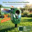 Solar Ultrasonic Animal Repellent, 1 Pack Deer Repellent Device Outdoor, IP65 Waterproof Cat Repeller with RIP Sensor, Effective Deterrent Dogs, Raccoons, Skunks, Squirrels, Rabbits - Green