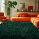 6x9 Green Rugs for Living Room : Dark Green Shag Fluffy Carpet for Living Room-Large Fuzzy Plush Soft Bedroom Carpets, Shaggy Area Rugs for Bedroom