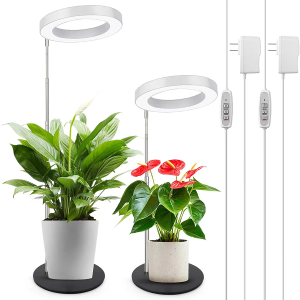 LORDEM Grow Light, LED Plant Light for Indoor Plants Growing, Full Spectrum Desk Growth Lamp with Automatic Timer for 4H/8H/12H, 4 Dimmable Levels, Height Adjustable 9.8"-30.6", Pack of 2