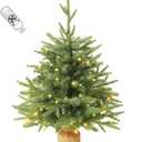 3FT Pre-lit Artificial Small Mini Christmas Tree with 70 Warm White Multi-Color LED Lights, Remote Control and Timer, Perfect for Xmas Tabletop Decorations, Home, Kitchen, Dining Table top Green