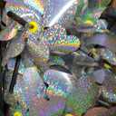 BATTIFE 10 Pack Reflective Pinwheels for Yard and Garden, Pre-Installed Sparkly Silver Blind Birds Pin Wheel, Scare Birds & Animal Away Wind Spinner