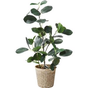 SAROSORA Artificial Ficus Tree Small Fake Plants in Weaved Pot 20" Height for Living Room Desktop Decor Indoor Home Office Ins Style (Green, 1)