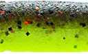 Z-Man Finesse TRD Tackle, Coppertreuse, 2.75"