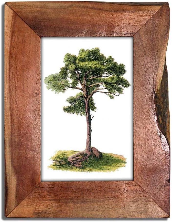 India Handicrafts 15674 Rustic and Weathered Brown 4 x 6 Wood Picture Frame for Wall or Table Top Display of Family